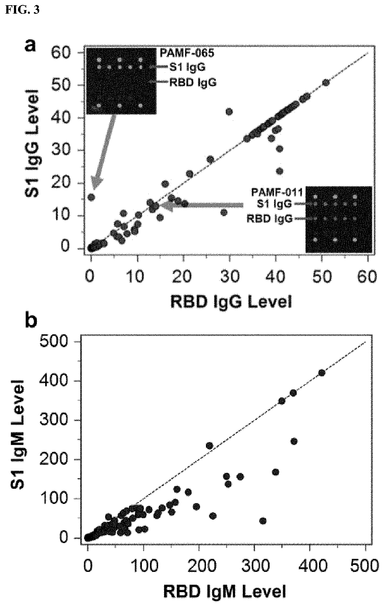 Assays, sensing platforms, and methods for diagnosis of coronavirus infection and re-infection