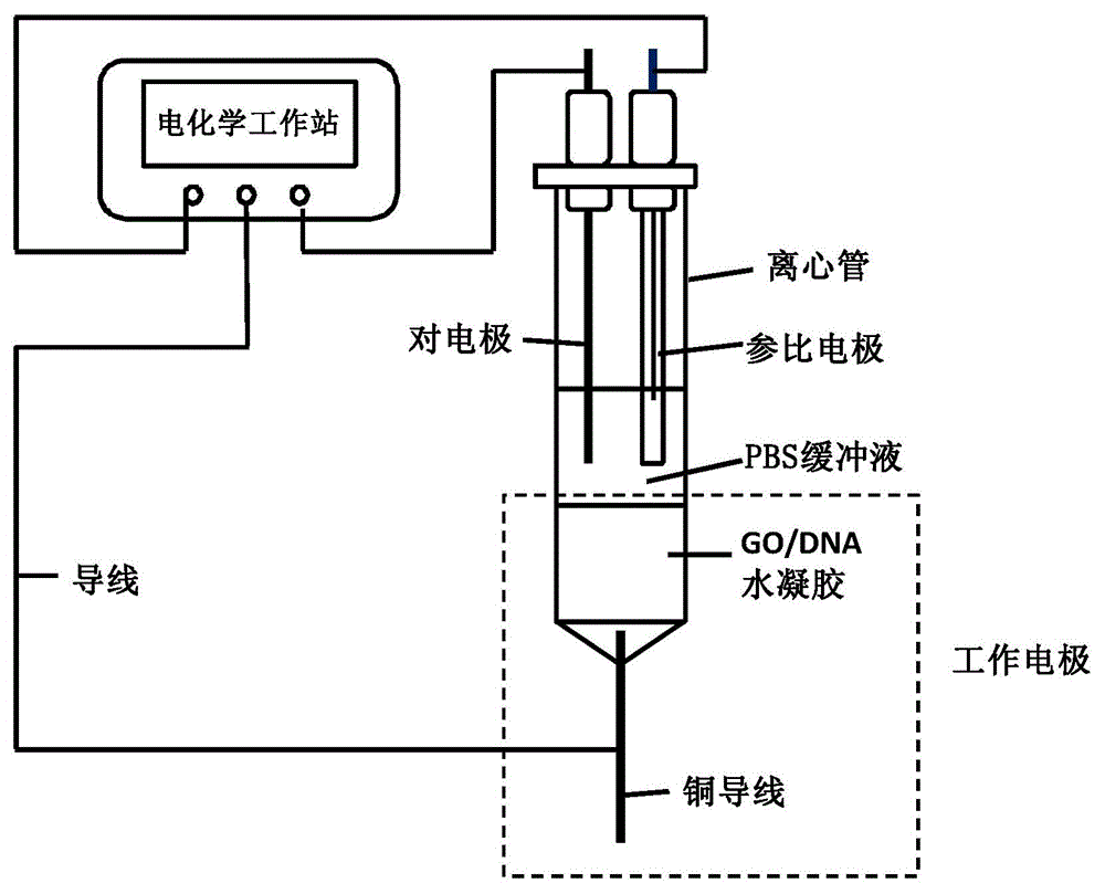 Preparation method and application of hydrogel electrode