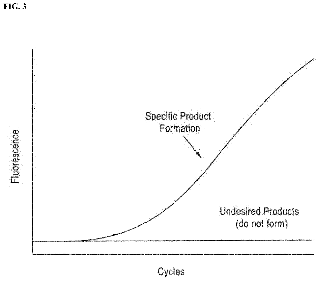 DNA amplification technology