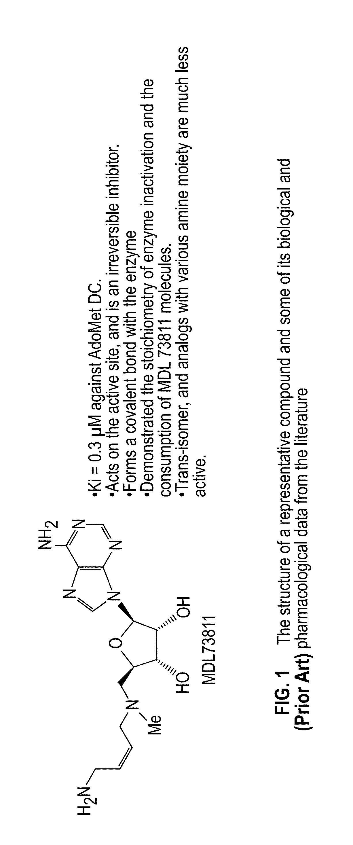 Inhibitors of S-adenosyl-L-methionine decarboxylase