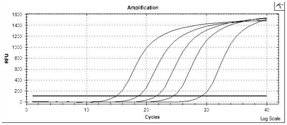 Multi-site methylation kit for detecting colorectal cancer-related genes and its application