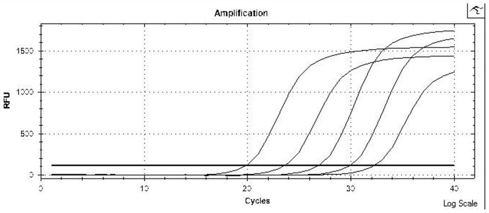 Multi-site methylation kit for detecting colorectal cancer-related genes and its application