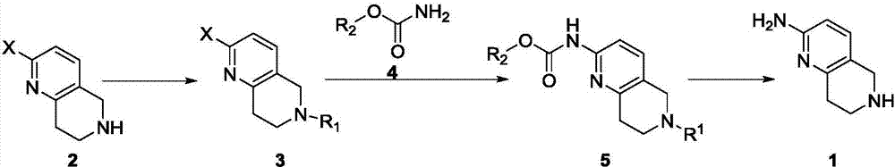 Synthesis method of 5,6,7,8-tetrahydro-1,6-naphthyridine-2amine