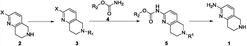 Synthesis method of 5,6,7,8-tetrahydro-1,6-naphthyridine-2amine