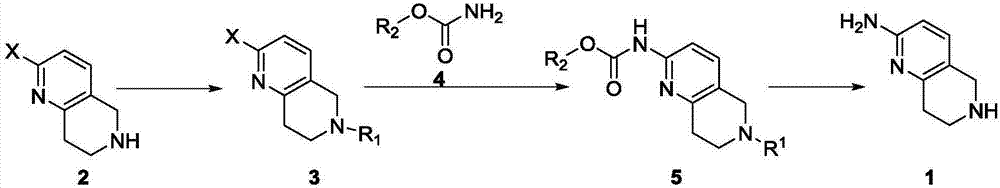 Synthesis method of 5,6,7,8-tetrahydro-1,6-naphthyridine-2amine
