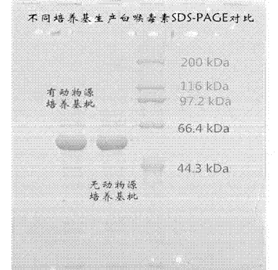 Corynebacterium diphtheriae culture medium and method for preparing diphtheria toxoid by applying same