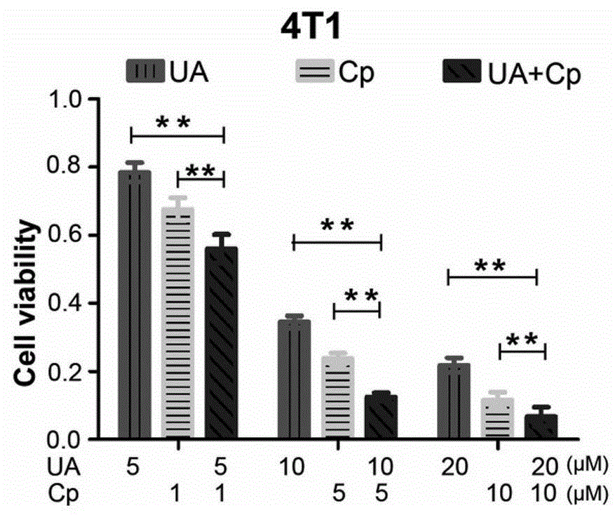 Pharmaceutical composition containing ursolic acid and cyclophosphamide