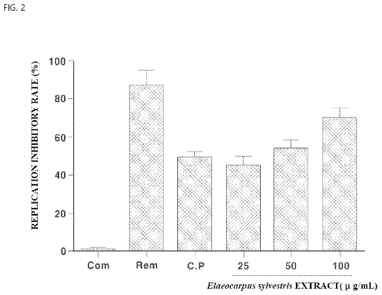 CORONAVIRUS THERAPEUTIC AGENT INCLUDING Elaeocarpus sylvestris EXTRACT AS ACTIVE INGREDIENT