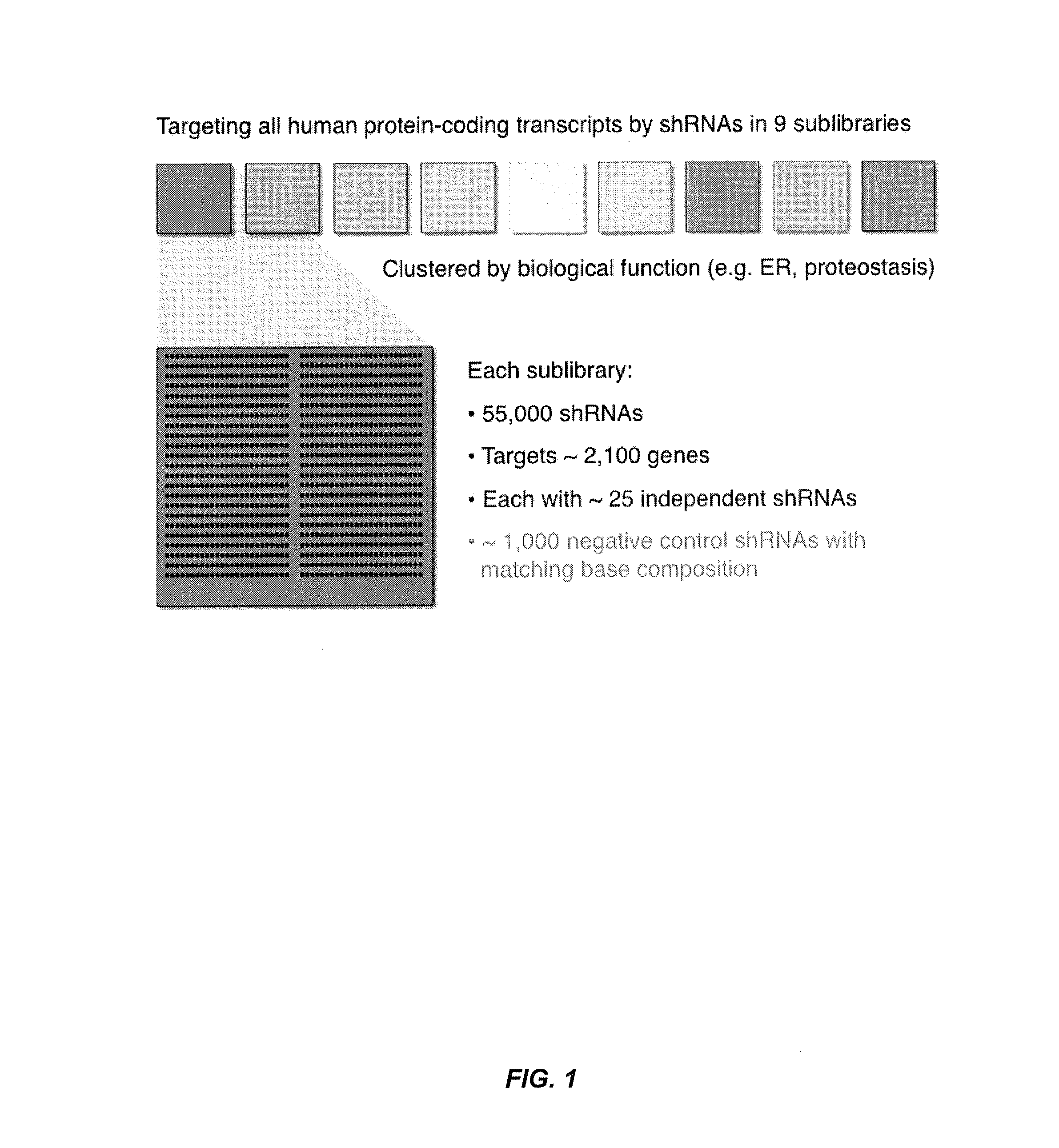 Methods for genome-wide screening and construction of genetic interaction maps