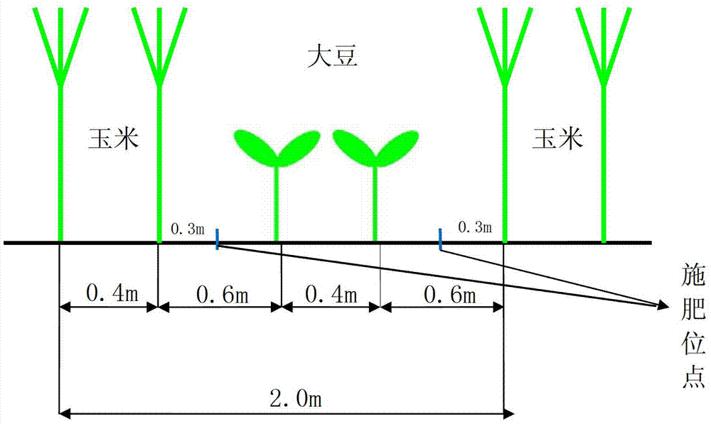 A kind of integrated fertilization method of corn intercropping soybean