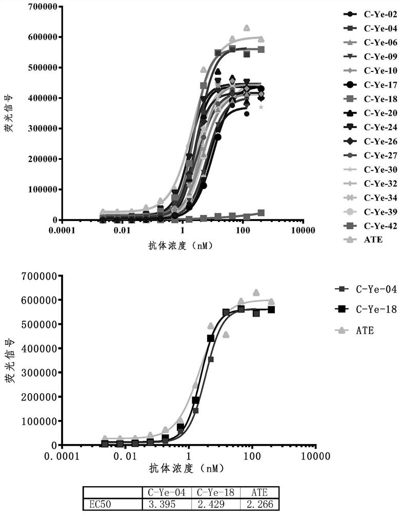 Anti-PD-L1 nano antibody as well as derivative and application thereof