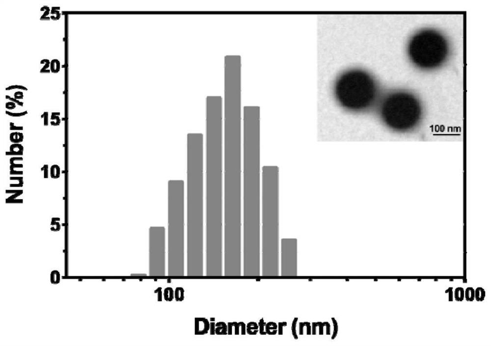 A lysosome-targeted pH-sensitive nanoparticle and its preparation method and application