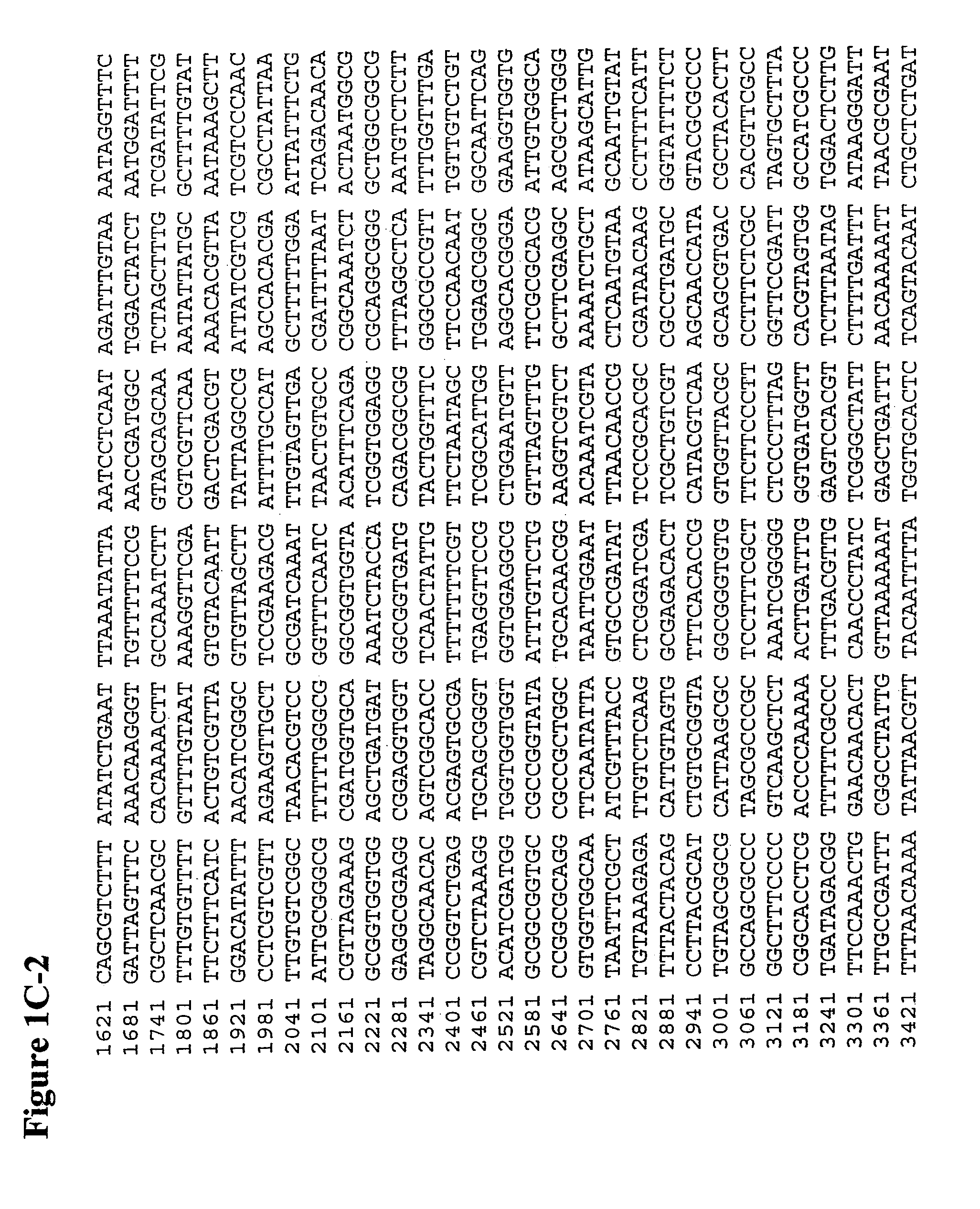 Dual expression vector system and screening methods
