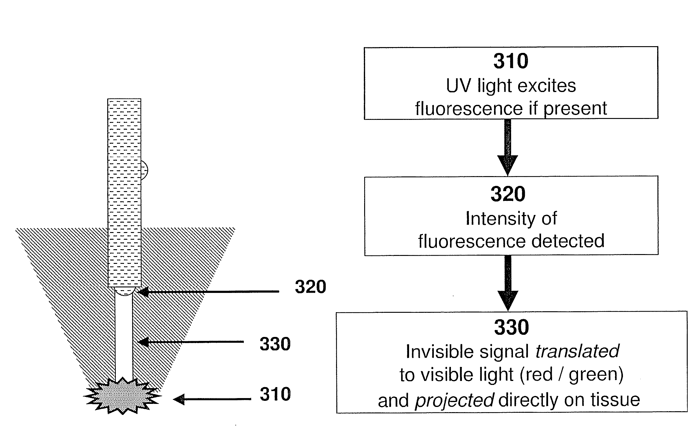 Surgical method and apparatus for identification of fluorescence