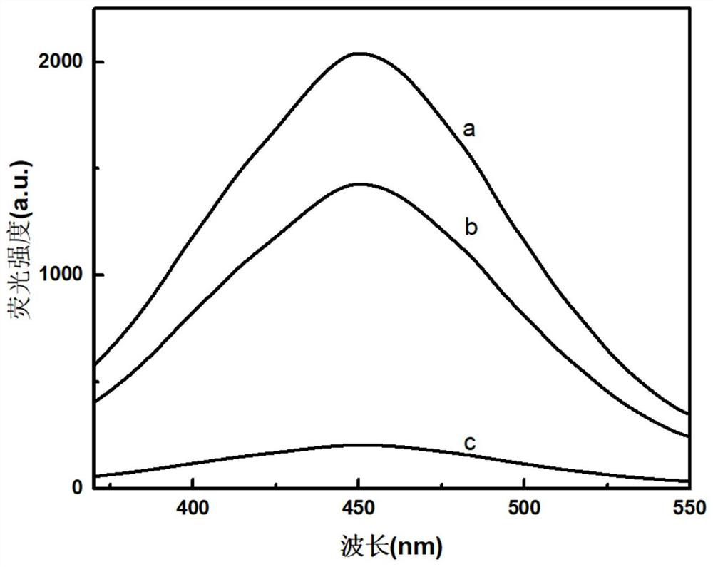 A method for detecting lipase activity based on fluorescent probe