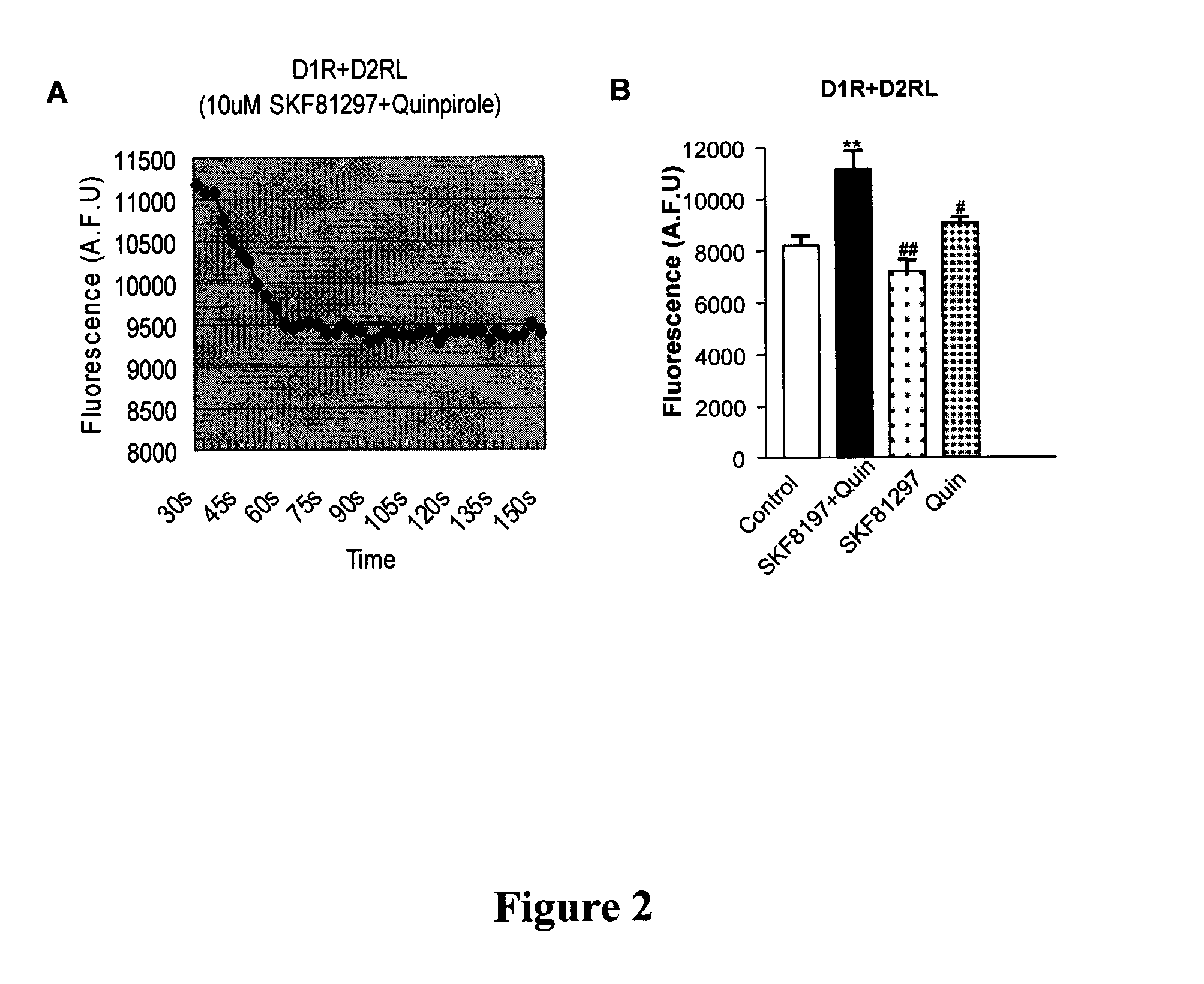 Compositions and methods for modulating d1-d2 dopamine receptor interaction and function