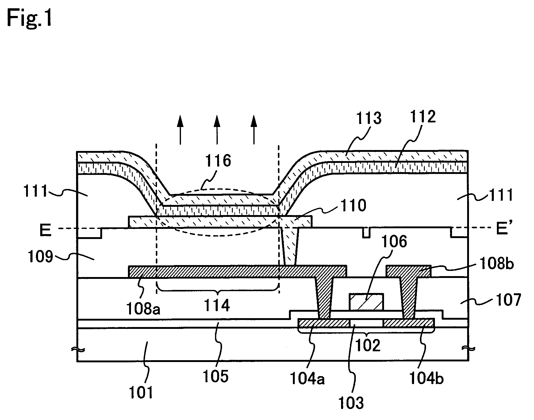 Light emitting structure including an exposed electrode overlapping a wiring or conductive layer