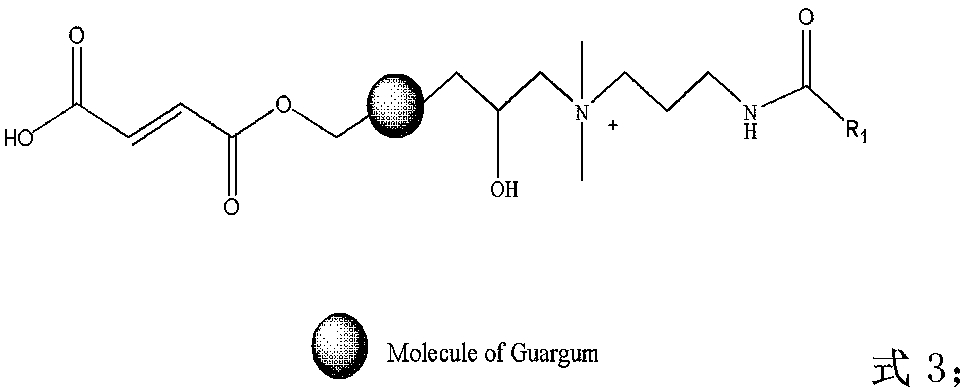 Zwitterionic hydrophobic modified guar gum and preparation method thereof