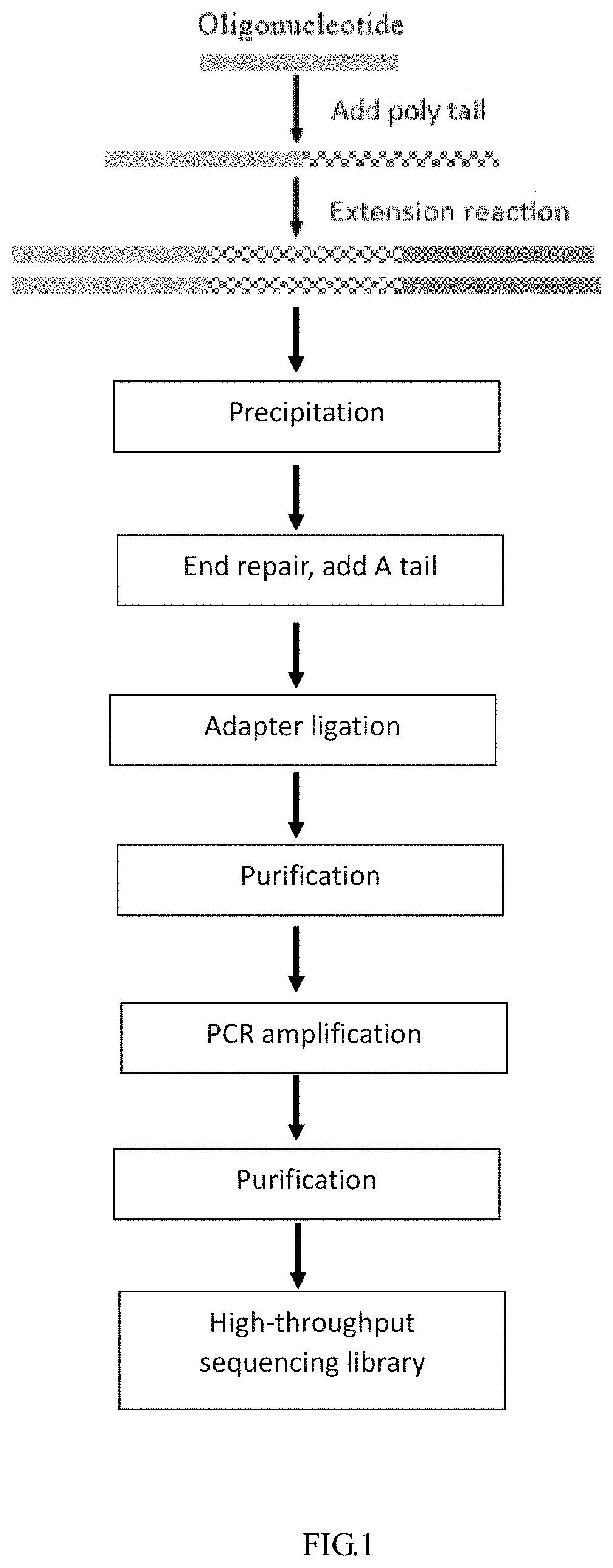 Method for analyzing impurities of oligonucleotide sequence based on high-throughput sequencing and application