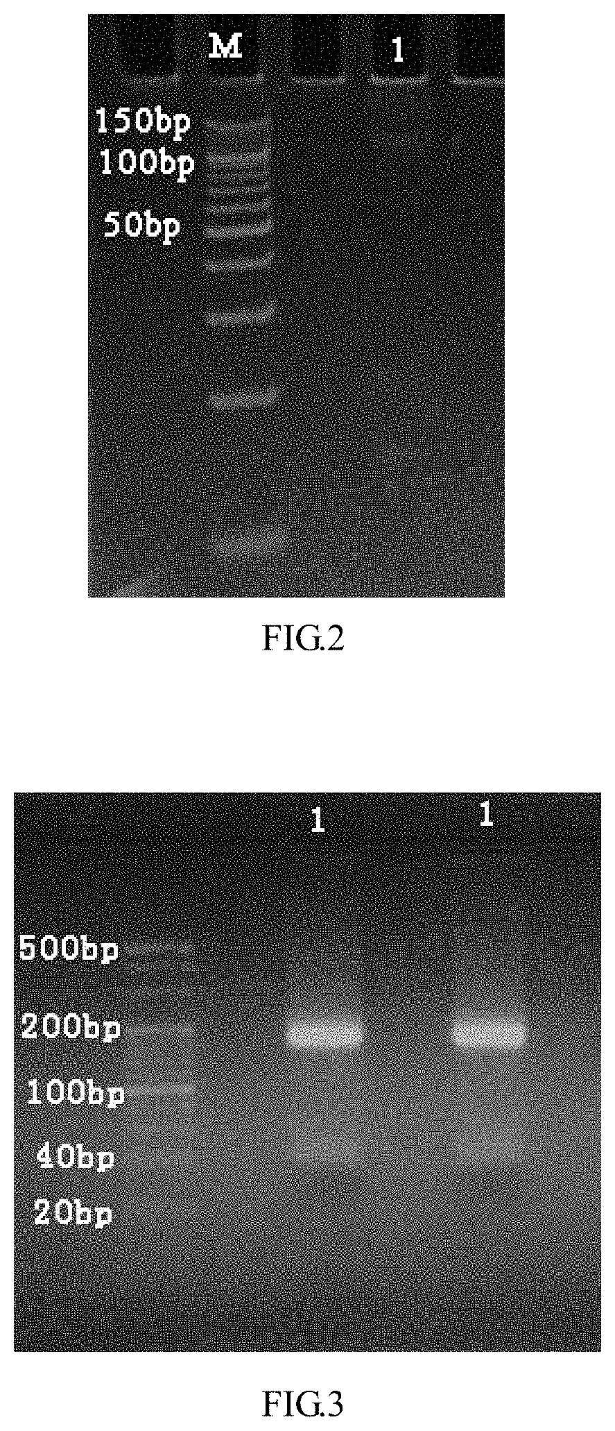 Method for analyzing impurities of oligonucleotide sequence based on high-throughput sequencing and application