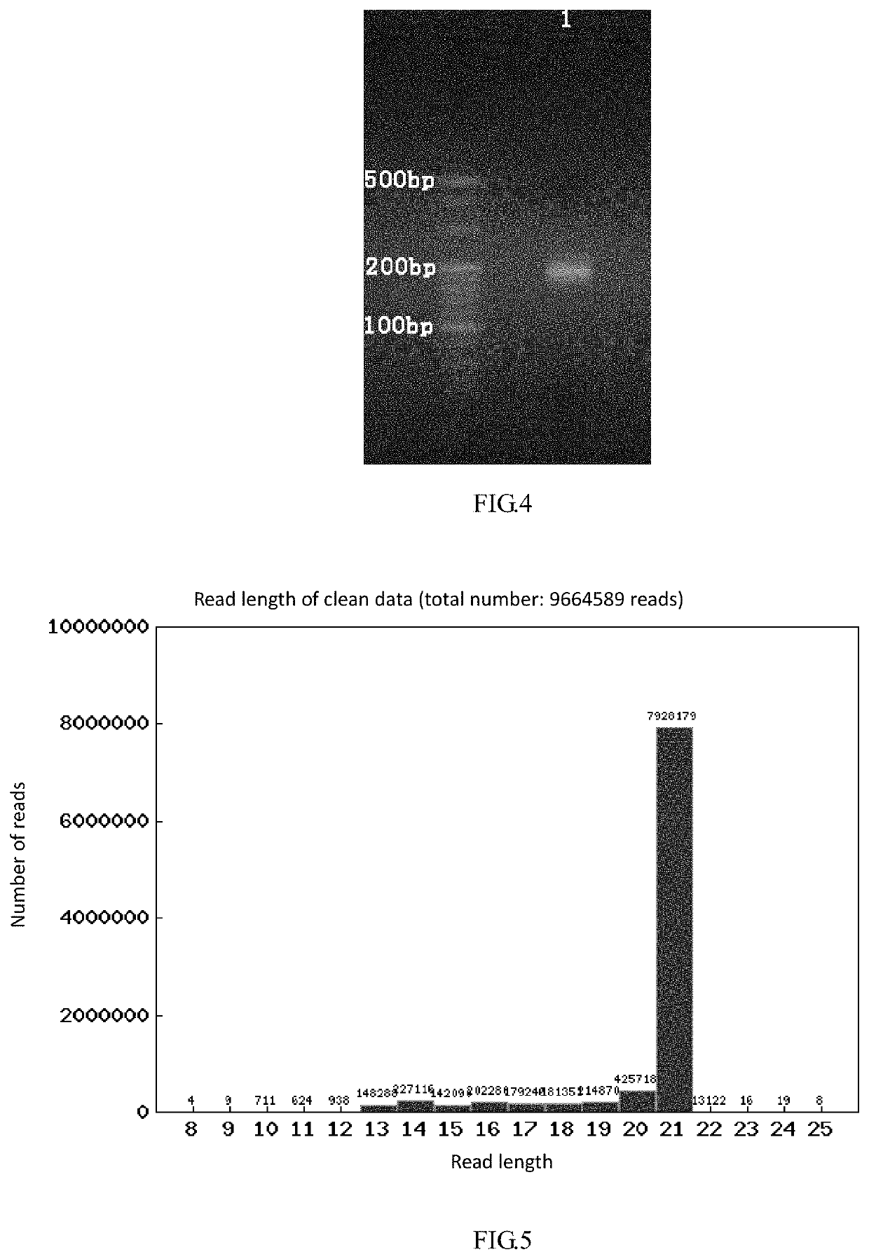 Method for analyzing impurities of oligonucleotide sequence based on high-throughput sequencing and application