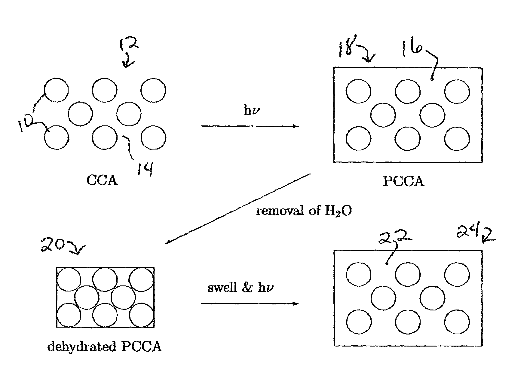 Essentially water-free polymerized crystalline colloidal array composites having tunable radiation diffracting properties and process for making