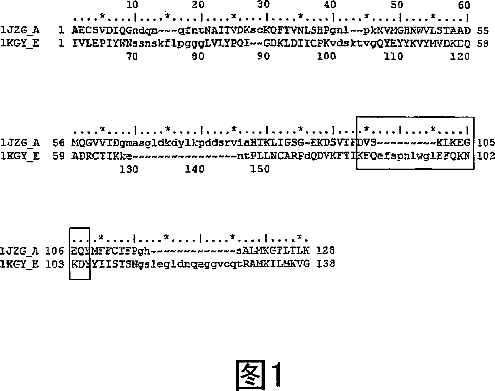 Compositions and methods for treating conditions related to EPHRIN signaling with cupredoxins