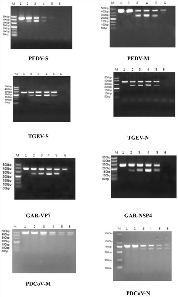 An enzymatic visualized oligonucleotide chip for simultaneous detection of four porcine diarrhea viruses and its application