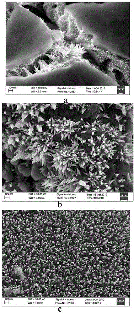 Titanium-based TiNx/IrO2-Ta2O5 nanometer coating anode