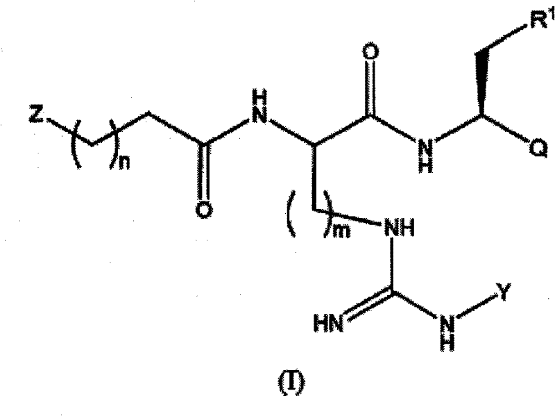 Proteasome inhibitors and methods of using the same