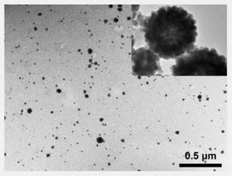 Fluorescence sensor based on rhodamine B and gold-clad silver nanoparticles and application of fluorescence sensor to detection of organophosphorus pesticide