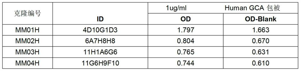 GCA-NAb monoclonal antibody, hybridoma cell strain and application