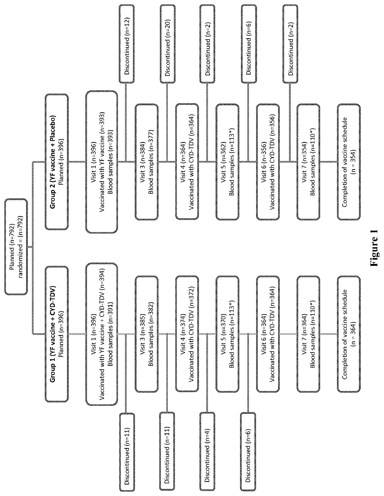 Concomitant dengue and yellow fever vaccination