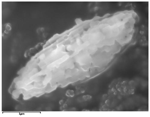 A preparation method of lithium-rich manganese-based cathode material with double controllable morphology and size