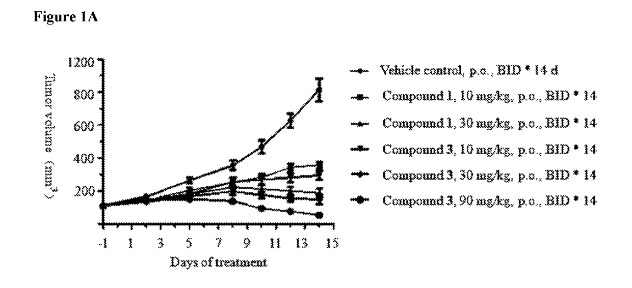 Pharmaceutical compositions and their use for treatment of cancer and autoimmune diseases