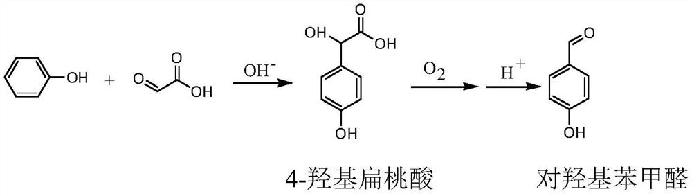 Preparation method of p-hydroxybenzaldehyde