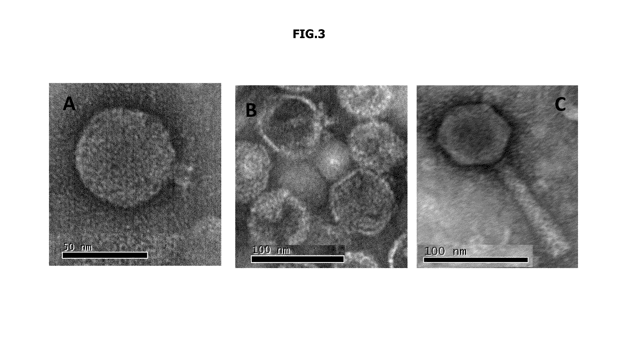 Novel salmonella bacteriophage compositions and uses thereof