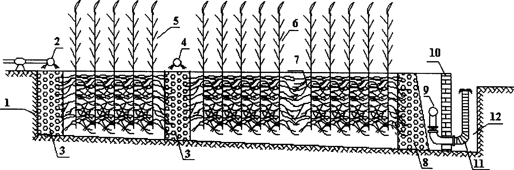 Fortified artificial wetlan sewage disposal method and system