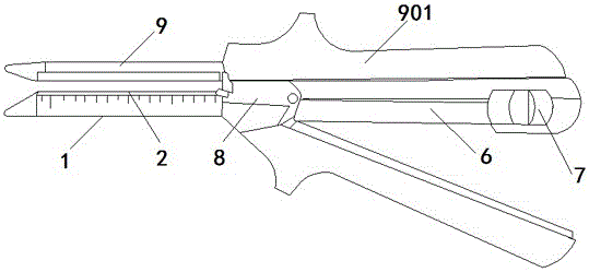 Linear type cutting and suturing device with inter-bridge structure