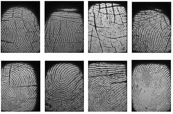 Novel fuzzy vault method based on fingerprint characteristic data and matching algorithm