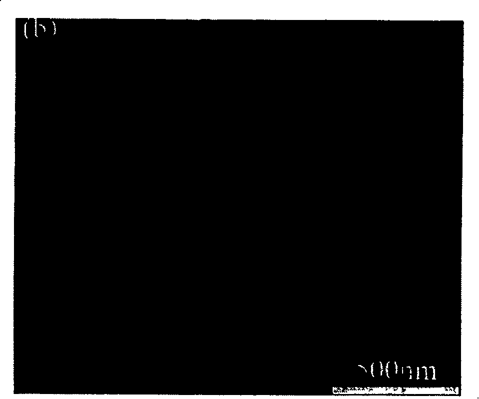 Preparation method of carbon clocd ferrolithium phosphate of lithium ion battery anode material