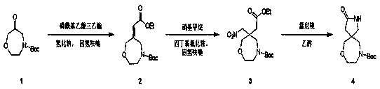 Preparation method of 3-oxymethylene-7-oxa-2,10-diazaspiro[4,6] undecane-10-tert-butyl formate