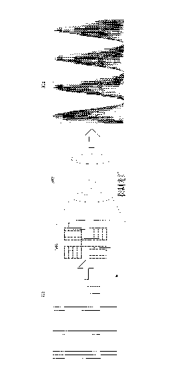 Multichannel collecting and correcting device of alignment signal of photoetching machine