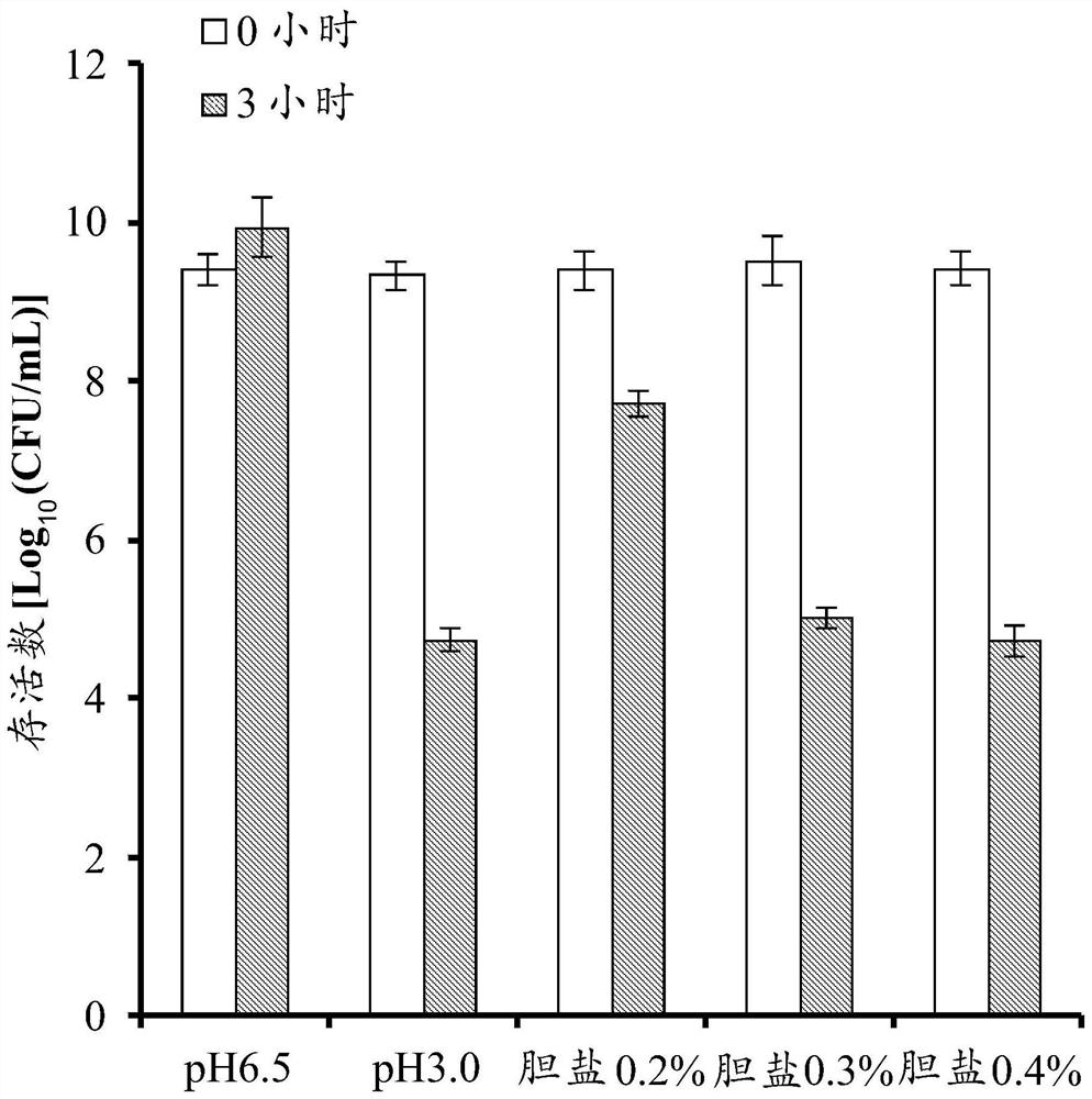 Lactobacillus plantarum BFA-LA04 strain with uric acid reducing capacity and application thereof