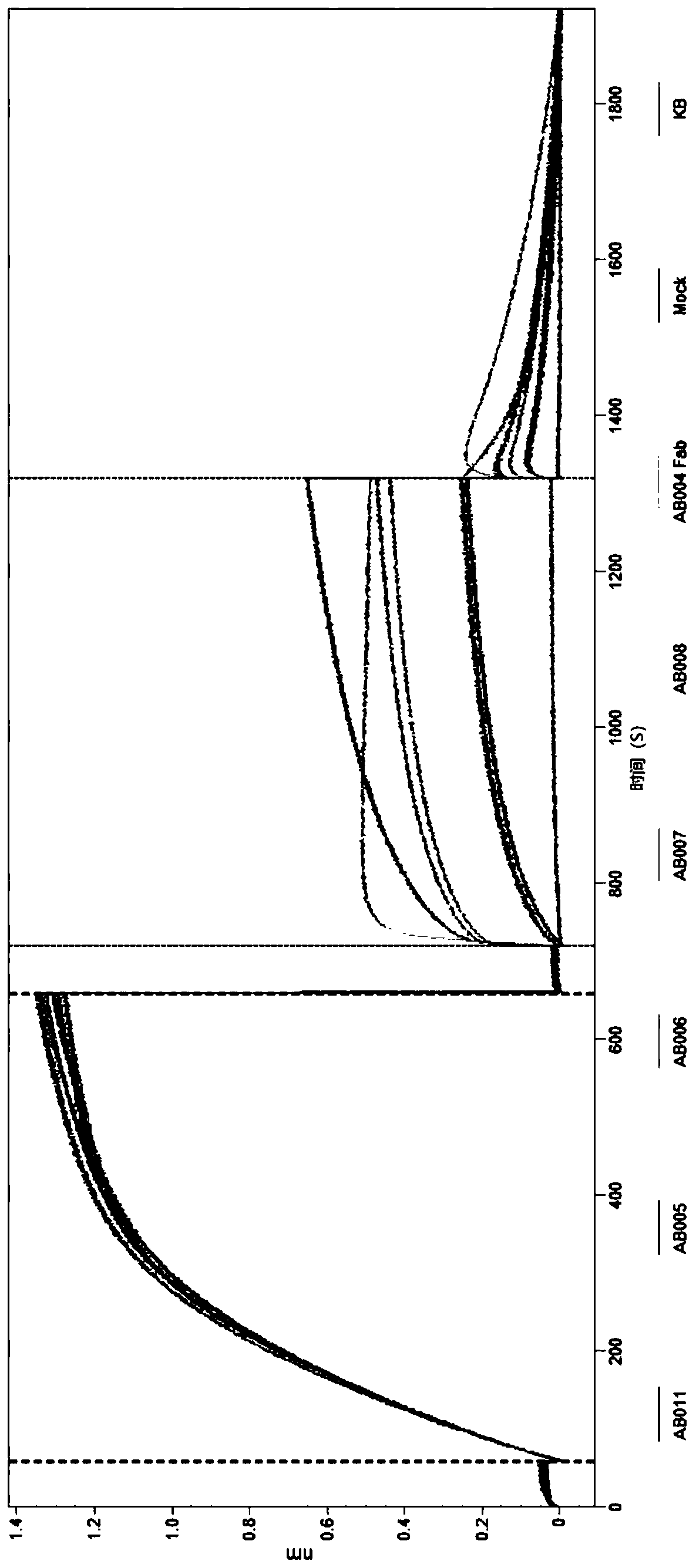 Monovalent anti-properdin antibodies and antibody fragments