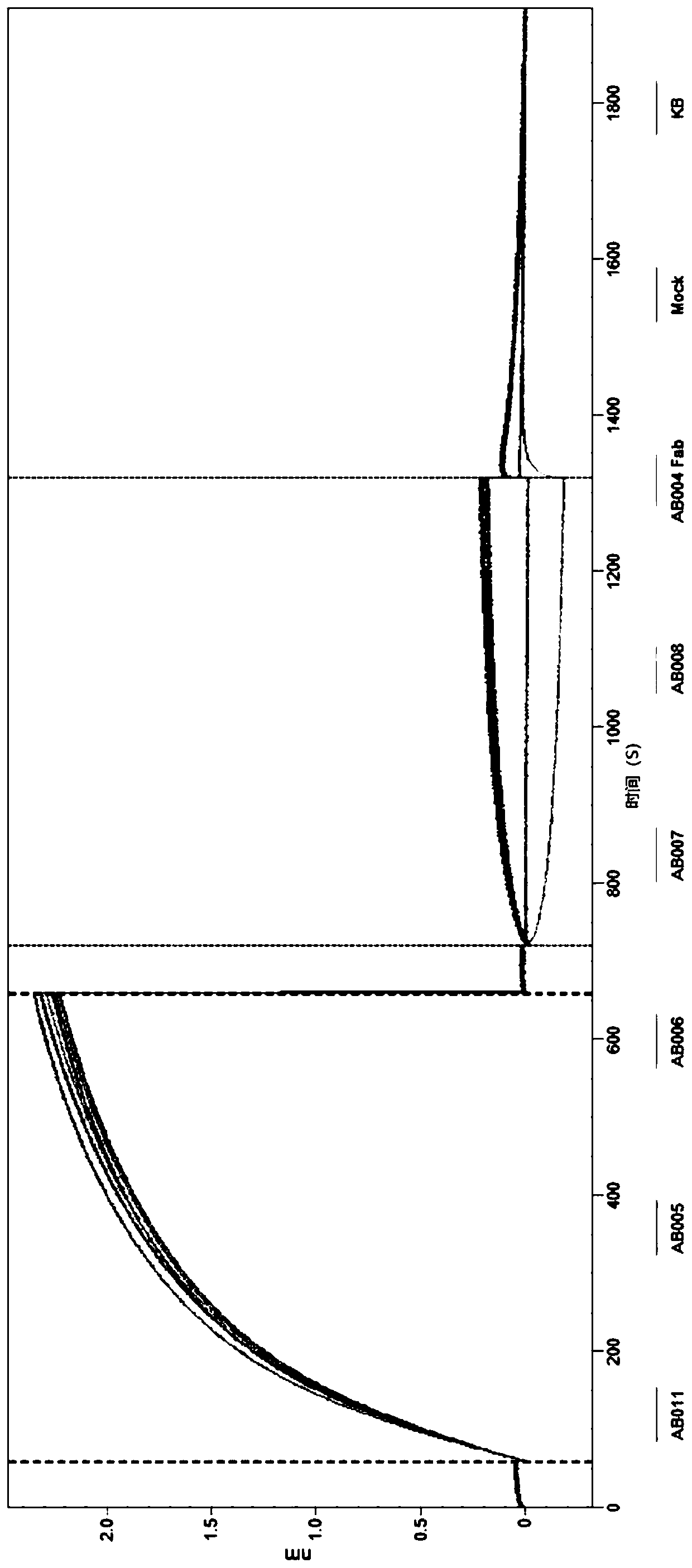 Monovalent anti-properdin antibodies and antibody fragments