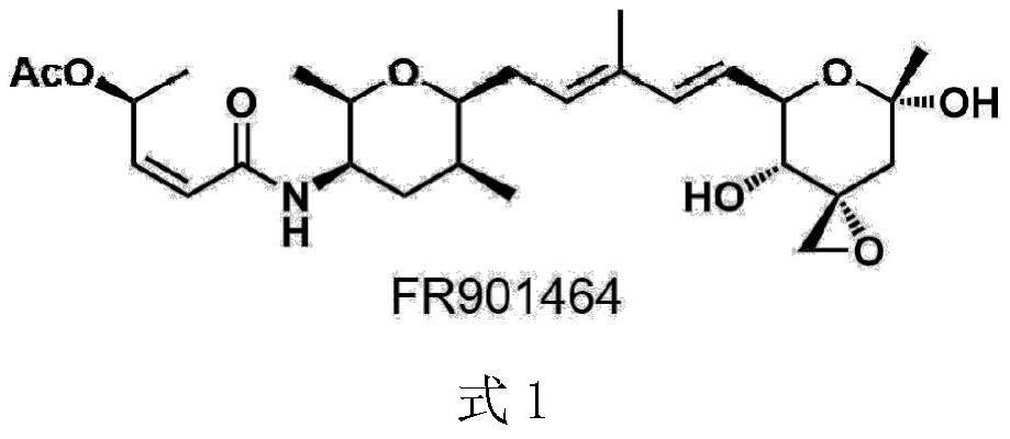 A method for extracting FR901464 from Burkholderia fermented liquid