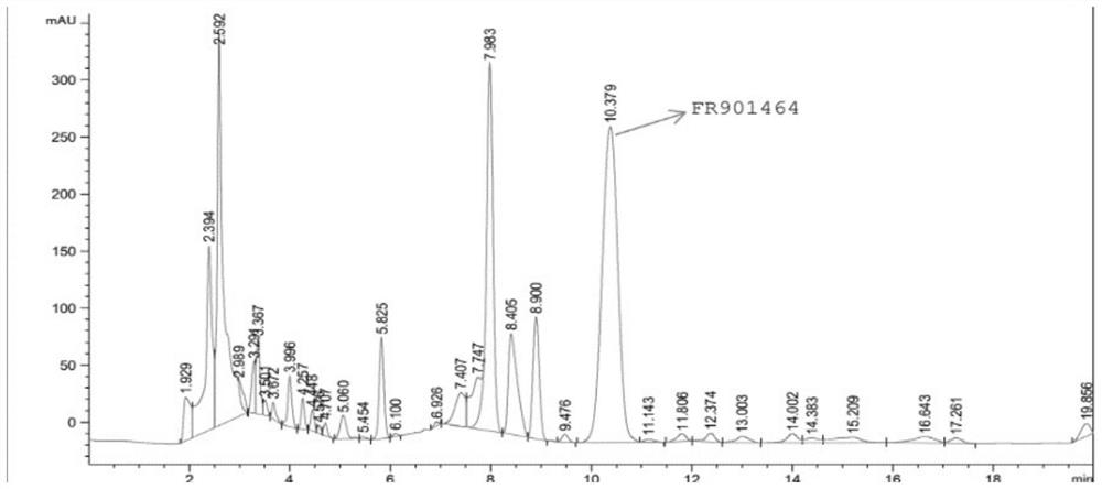 A method for extracting FR901464 from Burkholderia fermented liquid