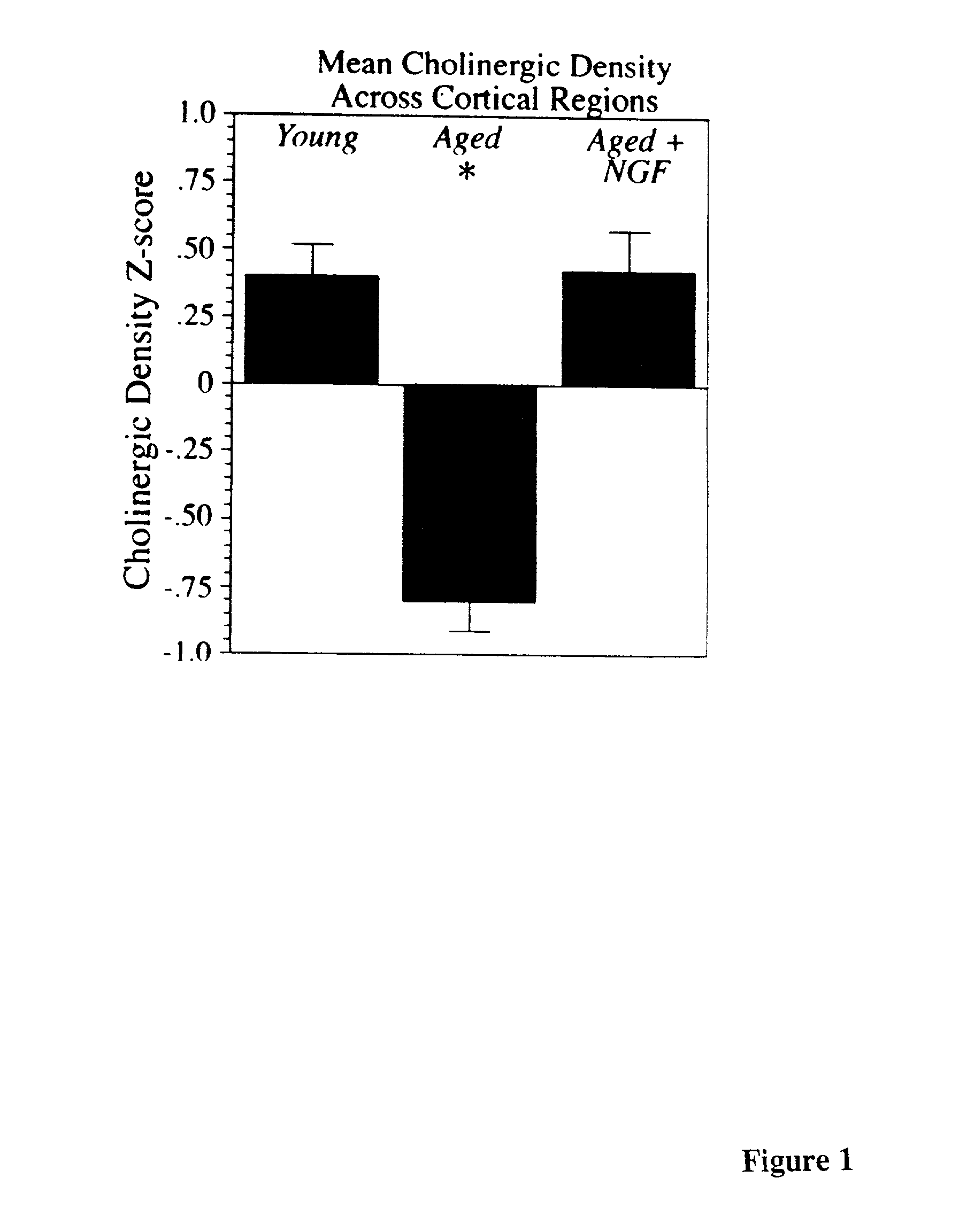 Methods for modulation of the effects of aging on the primate brain