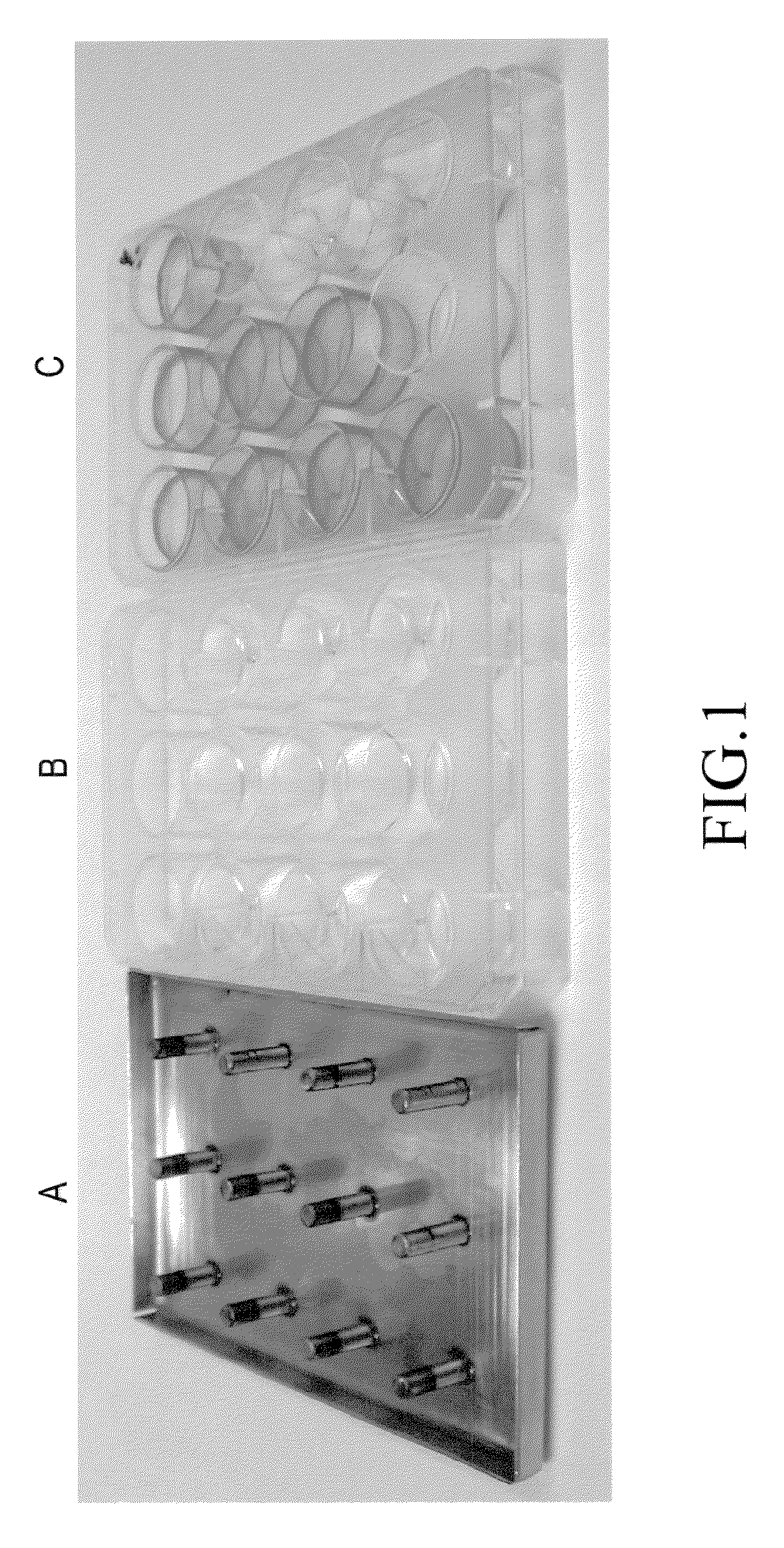 Method for monitoring the presence of biofilmforming microorganisms in paper industry